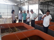 Cung cấp vận chuyển bùn vi sinh quận Bình Tân uy tín, chất lượng