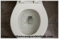 Vệ sinh bồn cầu sao cho đúng