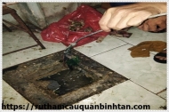 Làm sao để khử mùi hôi nhà vệ sinh do hầm cầu bị đầy