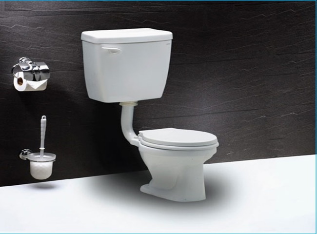 Dạng k&eacute;t nước bồn cầu rời 2 khối