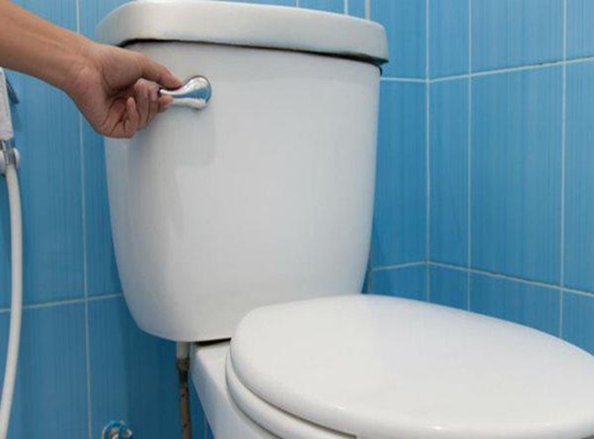 Lẫy gạt nước bồn cầu