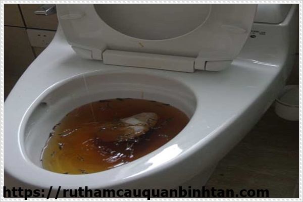 C&aacute;ch th&ocirc;ng bồn cầu bị tắc nặng