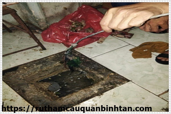 M&ugrave;i h&ocirc;i nh&agrave; vệ sinh do hầm cầu đầy